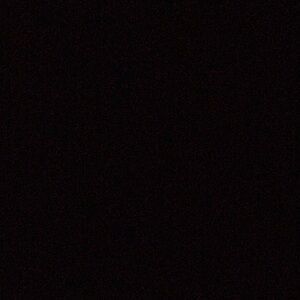 Meet your Posher, Lily